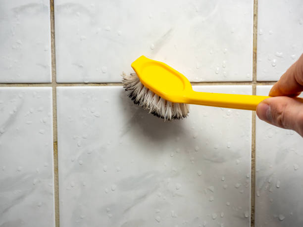 Best Emergency Mold Removal  in Athena, OR