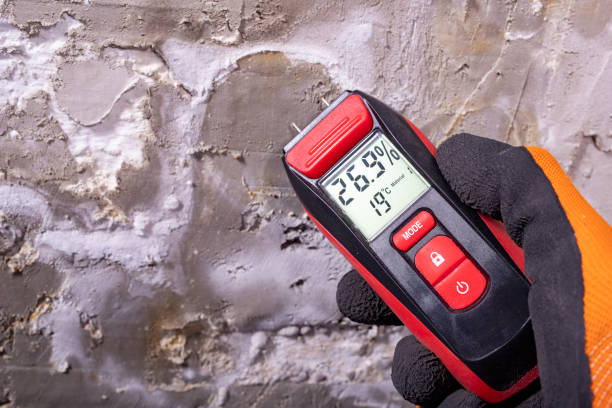Best Mold Remediation  in Athena, OR