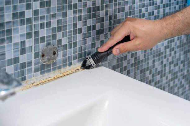 Best Professional Mold Removal  in Athena, OR