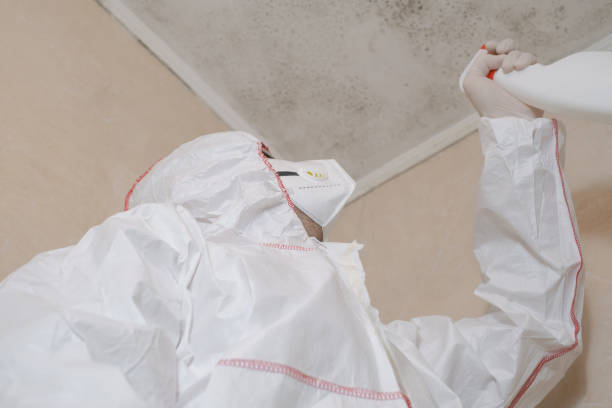 Best Professional Mold Removal  in Athena, OR